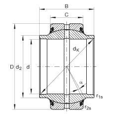 P(gun)(ji)S GE20-HO-2RS, (j) DIN ISO 12 240-1 (bio)(zhn), So(h)ɂ(c)ܷ